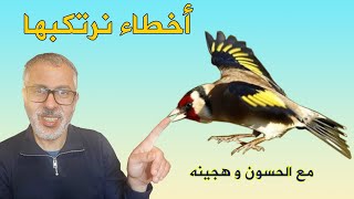 أخطاء نرتكبها مع الحسون وهجينه [upl. by Naujik]