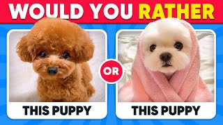 Would You Rather ANIMALS Edition 🐶😺 Quiz Kingdom [upl. by Melanie426]