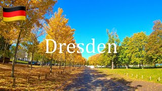 🇩🇪 Autumn in Dresden Germany 4K Driving downtown near Zwinger [upl. by Annert]