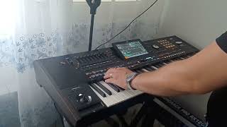 Ceca Maskarada Korg Pa5x Elvis ASH [upl. by Narah]