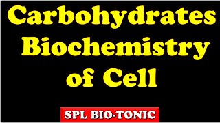 CarbohydratesSUGARSBiomoleculesBiochemistry of cellClass SANJAY LAD Wadia college Maharashtra [upl. by Etteniuq723]