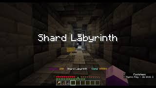 Shard Seekers  Shard Labyrinth Gamemode [upl. by Htebazile386]