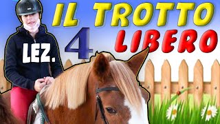 A SCUOLA DI EQUITAZIONE  COME ANDARE AL TROTTO LIBERO  LEZ 4 [upl. by Tab]