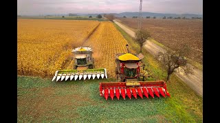 CASE IH Axial Flow 9250 amp CLAAS Lexion 770  Corn Harvest 2021🌽 Rostěnice as 22 4K [upl. by Yrakaz]