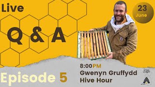 Gwenyn Gruffydd Hive Hour With Gruffydd Rees Q amp A  Episode 5 [upl. by Gadmon]