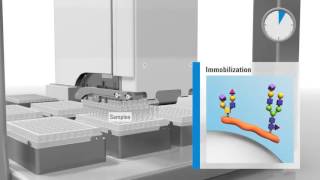 Streamlining NGlycan Sample Preparation [upl. by Pallaten445]