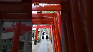 櫛田神社 福岡自由行 [upl. by Carita]