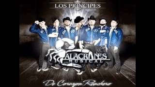 quotSolo Y Tristequot  Alacranes Musical Ft Conjunto Atardecer [upl. by Enid]