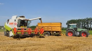 Loonwerken HAVA  Claas Lexion 450  tarwe pikdorsen [upl. by Gregorius]