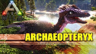 ARK WILD  ARCHAEOPTERYX  The Living GLIDER and SAP Farmer [upl. by Cordell830]