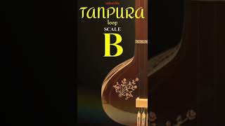 B Tanpura [upl. by Arahsit]