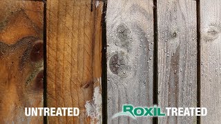 Instant Weatherproofing for Wood  Roxil Wood Protection Cream [upl. by Katzen]