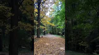 Autumn at Cranbrook House amp Gardens visitmichigan nature autumn [upl. by Tenaj849]