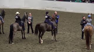 2024 UPHA CH 14 Spring Premier Heidi amp Gus in WT Saddle Seat Equitation 11 amp Under Qualifier [upl. by Eibmab46]