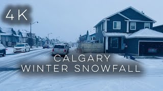 【4K】Calgary Winter Snowfall  Taradale Canada Alberta canadasnow snowfall blizzard snowstorm [upl. by Emmalyn69]