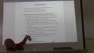 Neuroanatomy 67  Cerebrum  part 10   by Dr Wahdan [upl. by Deyes306]