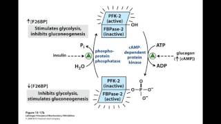 F26BP [upl. by Fougere]