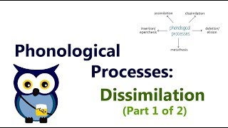 Phonological Processes Dissimilation Part 1 of 2 [upl. by Nosle404]