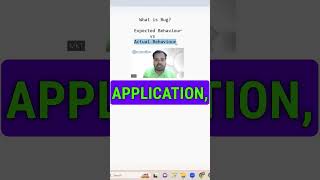 What is Bug in Software Testing [upl. by Martelle57]