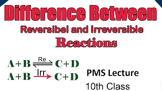 Reversible Reaction amp Dynamic Equilibrium  Chemistry10 lecture1 Unit9 [upl. by Marena]