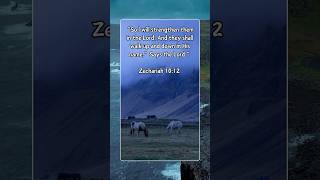 Zechariah 1012 ytshorts meditation bible biblestudy motivation horse sky jesus [upl. by Schilt]