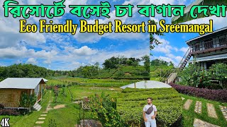 Sreemangal Resort  অরণ্যের দিন রাত্রি  Eco Friendly Tea Garden Resort  শ্রীমঙ্গল রিসোর্ট রিভিউ [upl. by Elga780]