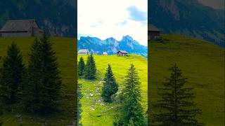 Switzerland 🇨🇭🥰🥰🥰❤️❤️❤️🔥🔥🔥switzerland alps nature mountains travelvlog europe [upl. by Okia]