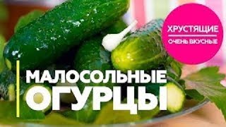 Малосольные Огурцы Очень Хрустящие За Одни Сутки СУПЕР РЕЦЕПТ [upl. by Nofets]