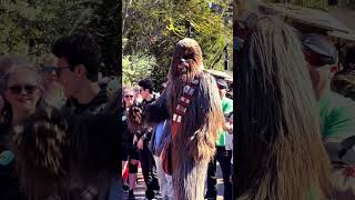 Chewbacca from Star Wars The Best character from the franchiseshortsdisneystarwarschewbacca [upl. by Iand]