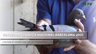 COLUMBOFILIA  VENCEDOR CLÁSSICA NACIONAL BARCELONA 2021  VISITAR E VIVER PAÇOS DE FERREIRA [upl. by Heinrike]