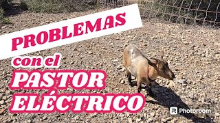 Problemas que te puedes encontrar con el pastor eléctrico [upl. by Rehpotsirhcnhoj]