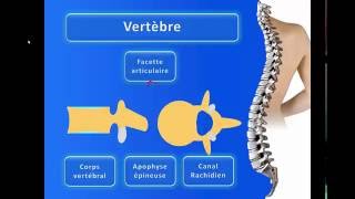La Colonne Vertébrale [upl. by Mercorr187]