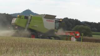 Top Monster Maschinen wieder Unterwegs Claas Lexion 670 TT Terra Trac Mähdrescher beim Winter Raps [upl. by Lledra]