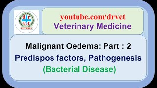 Malignant Oedema Part 2  predisposing factors pathogenesis [upl. by Niuq274]