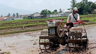 GILLA HAMPIR MOGOK INI TRAKTOR SAKING LUAS LAHAN SAWAH NYA [upl. by Eppillihp]