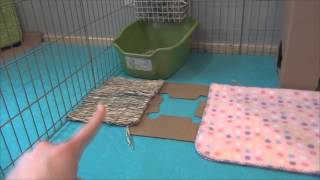 How to set up your rabbits cage [upl. by Norvell]