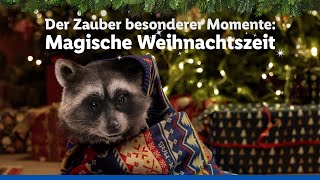 Der Zauber besonderer Momente  Magische Weihnachtszeit  Lidl lohnt sich [upl. by Spence]