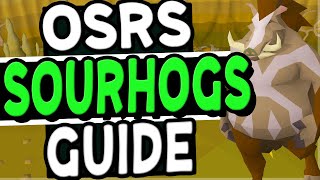 The Ultimate Sour Hogs Slayer Guide Old School Runescape [upl. by Ennovad547]