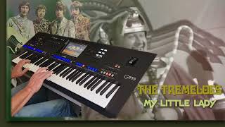 My Little Lady  The Tremeloes Cover [upl. by Sondra453]