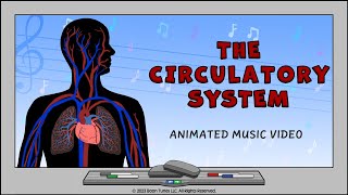 Circulatory System  How The Heart Works  Animated Music Video [upl. by Brenn835]