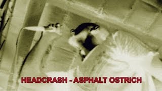 04 HEADCRASH  ASPHALT OSTRICH  Live [upl. by Eserahs]