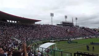 Torcida do Vasco cantando samba unidos da Tijuca Vasco 2x1 Bahia 21052017 [upl. by Guyer]