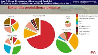 Produktionssjukdomar antibiotika vaccin biverkningar Del 1 [upl. by Ettenav354]