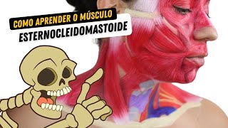 Como APRENDER O Músculo Esternocleidomastóide  Anatomia Humana [upl. by Trilby12]