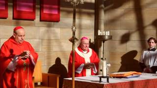 2014 Synod of Bishops Pentecost Vigil Eucharist Old Catholic Confederation [upl. by Sitoiganap]