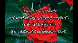 Vaseegara song lyrics in sinhala වසීගරාfull song [upl. by Ennairac]