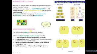 DIVISIONE CELLULARE  SCISSIONE BINARIA [upl. by Ayomat678]