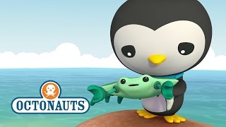 Octonauts Crabs amp Enemy Anemones Trouble [upl. by Anibor95]