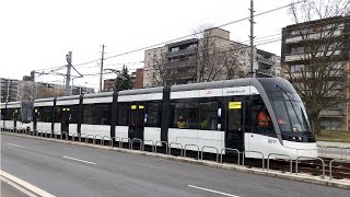 Eglinton Crosstown LRV testing between Ionview and Birchmount stations [upl. by Leontina695]