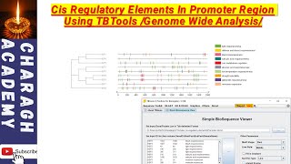 Cis Regulatory Elements In Promoter Region Using TBTools Genome Wide Analysis [upl. by Essenaj]